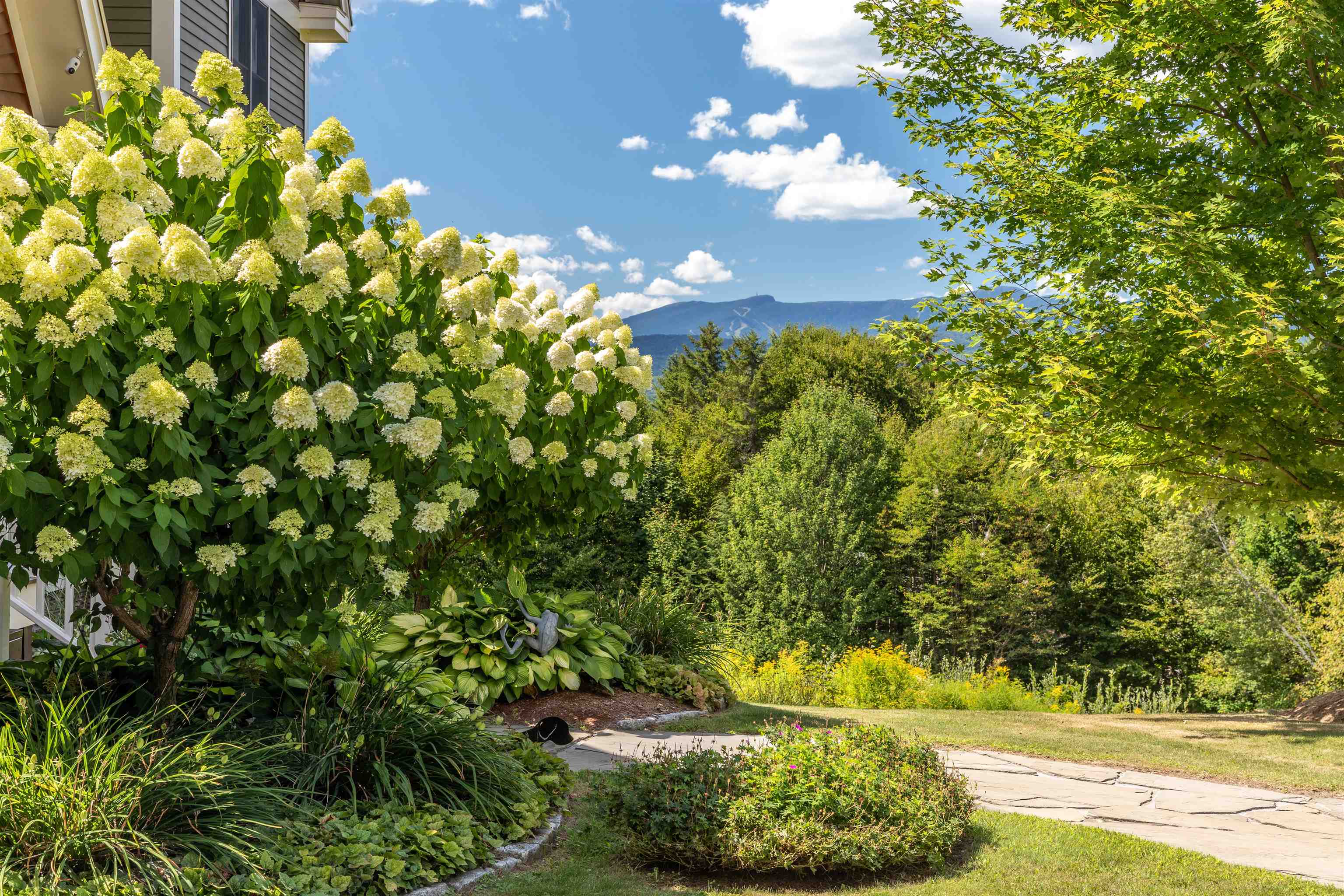 314 Campbell Road Morristown, VT 05661 - Photo 4 of 40