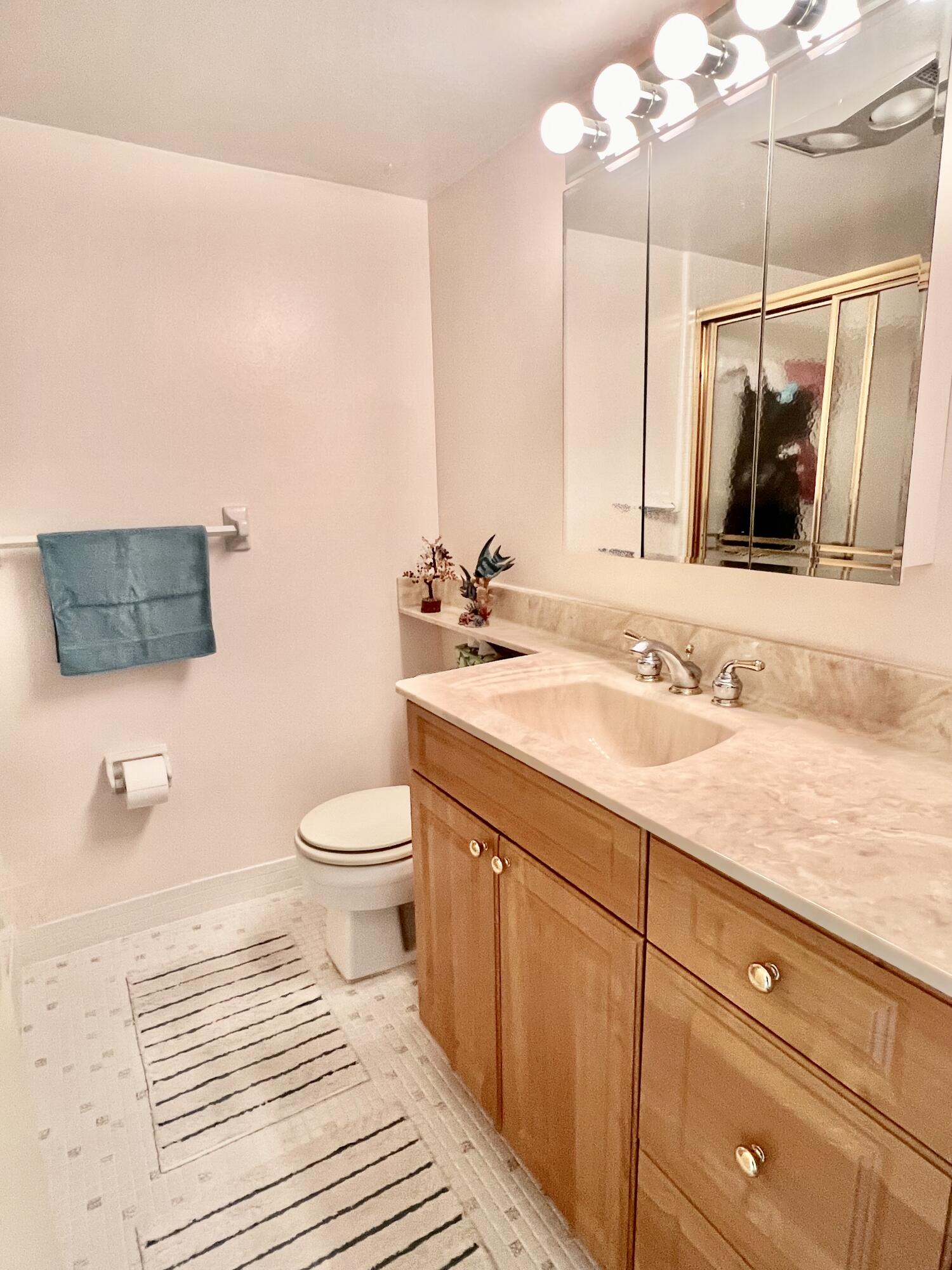 231 East Lantana Road, Unit 202 Lantana, FL 33462 - Photo 15 of 33 Primary Bath