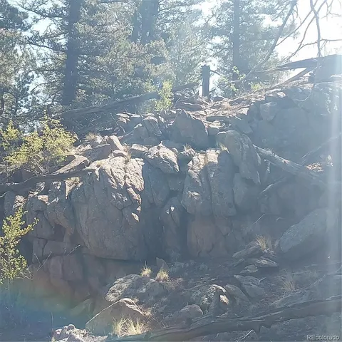 a view of a tree in the yard