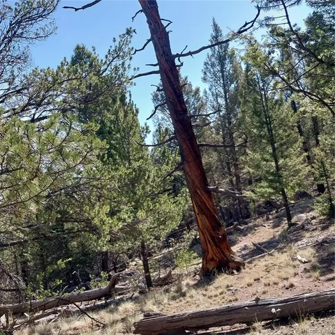 a view of a road with a tree