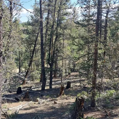 a view of a dirt road with trees in the background