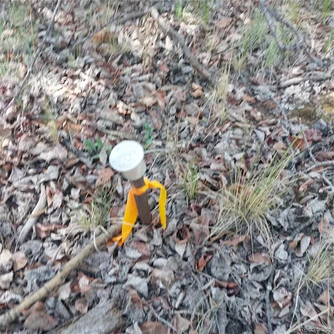 a view of an ocean and a yard