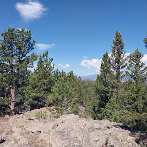 a view of a dry yard with trees
