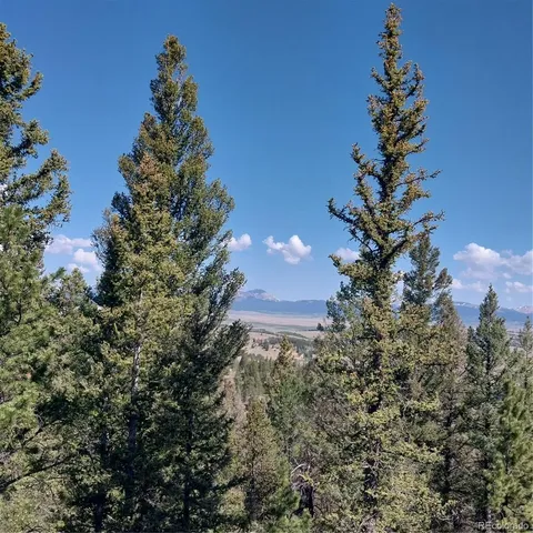 a view of a tree with a yard