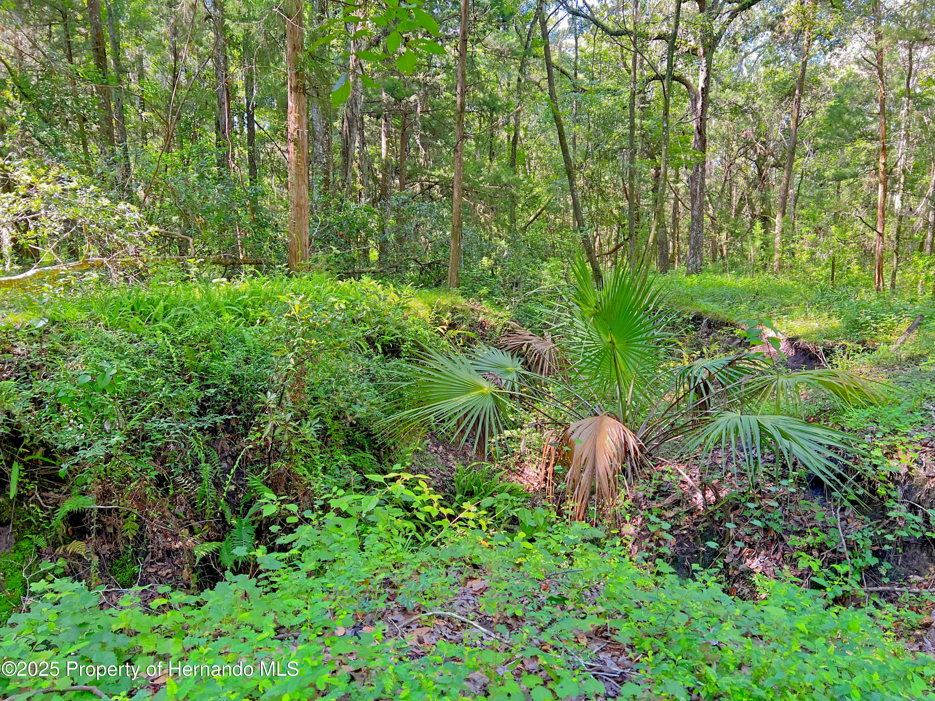 0 Whitman Road Brooksville, FL 34601 - Photo 16 of 30
