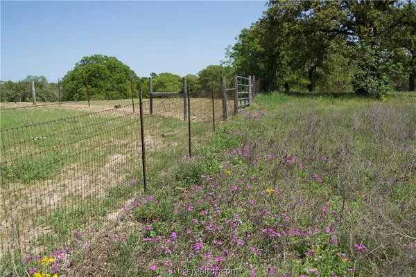 a big yard with lots of green space and trees
