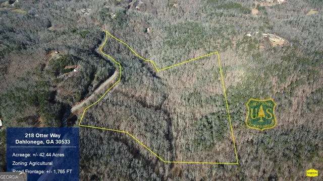 $806,360 | 218 Otter Way, Dahlonega, GA 30533