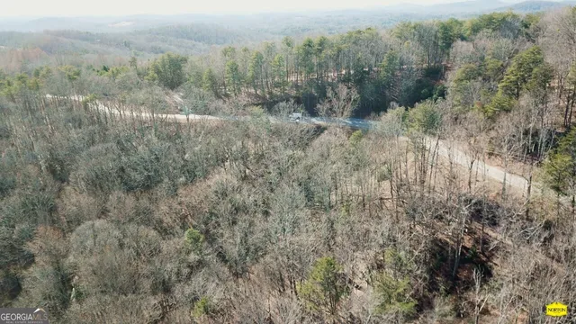 a view of a forest with trees in the background