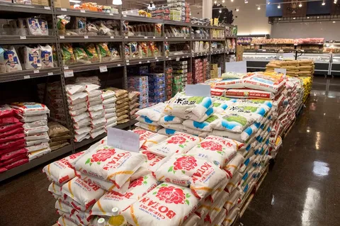 $3,000 | 513 West Croslin Street, Unit A, Austin, TX 78752