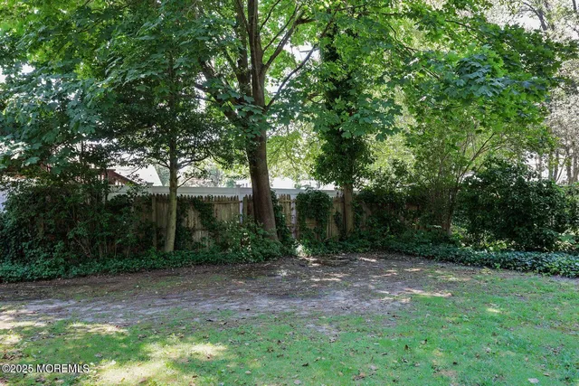 a view of a yard with trees