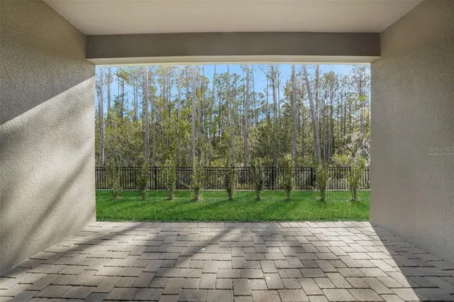 a view of a yard with potted plants and a fountain