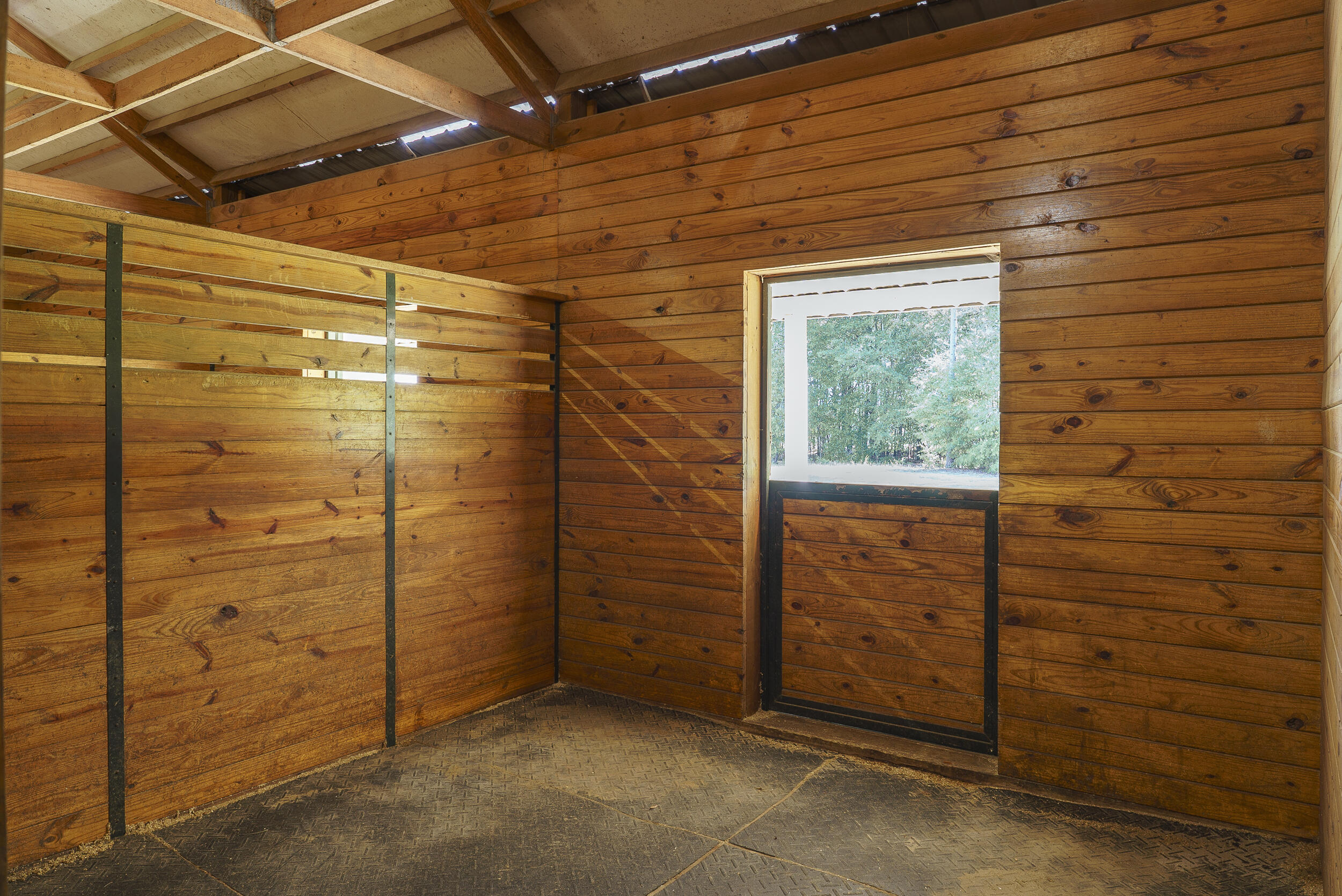 1040 Bethcar Church Road Wagener, SC 29164 - Photo 7 of 39 Gallery Image 7