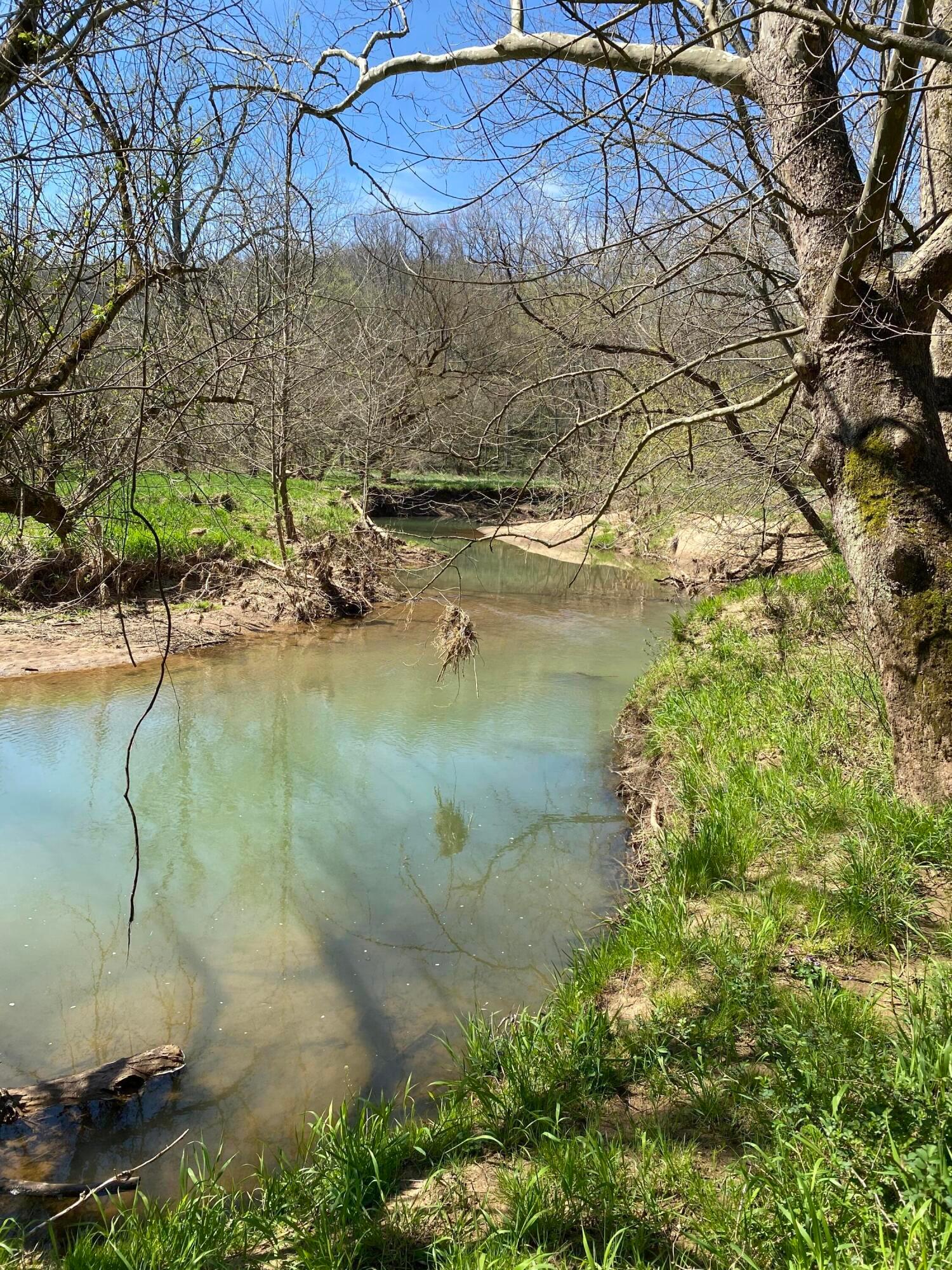 0 West Side Tr Reedsville, OH 45772 - Photo 17 of 19 Creek at the back of property.