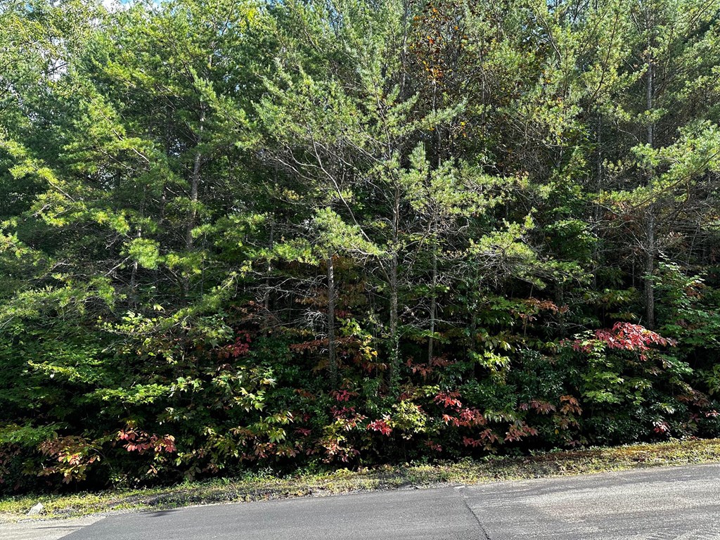 70 St. Andrews Way Jasper, GA 30143 - Photo 11 of 19