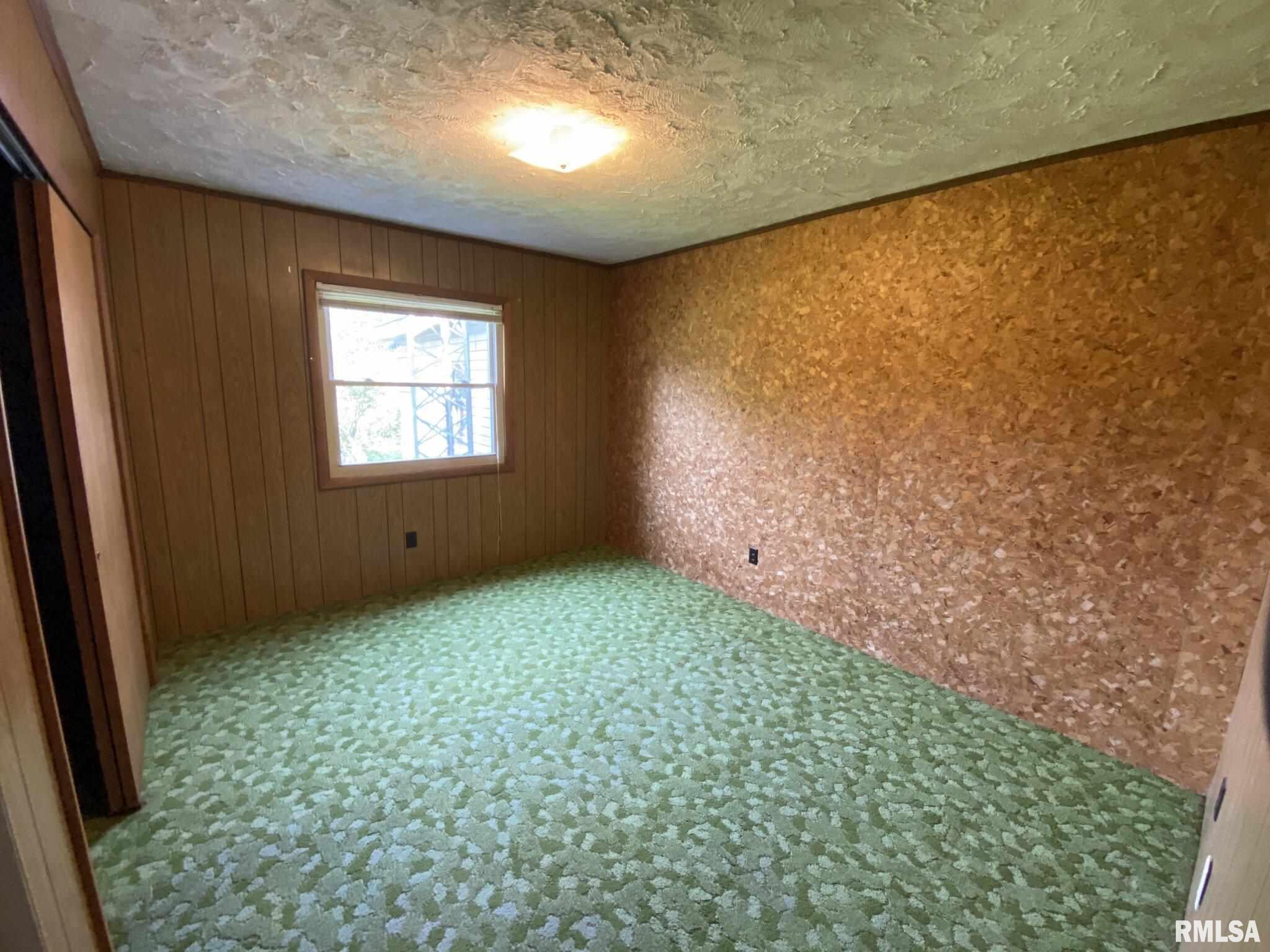 1197 Caprice Road West Frankfort, IL 62896 - Photo 15 of 37 Gallery Image 15