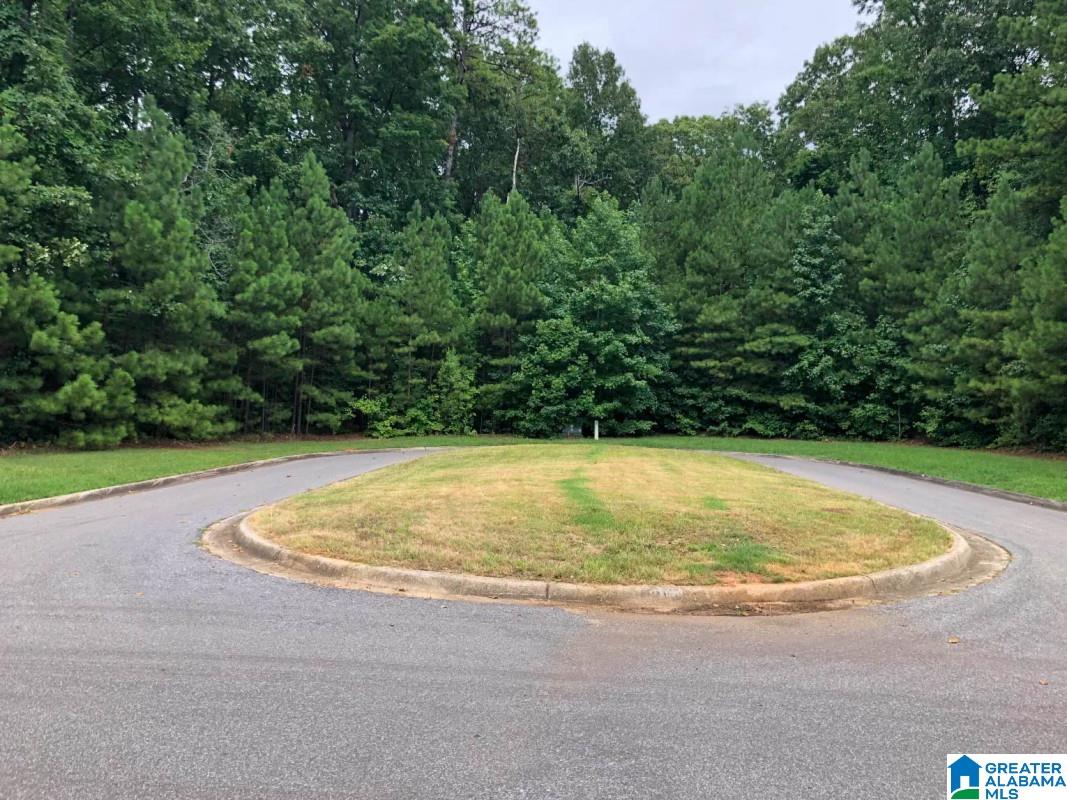 1091 Stagg Run Trail Pelham, AL 35124 - Photo 5 of 6