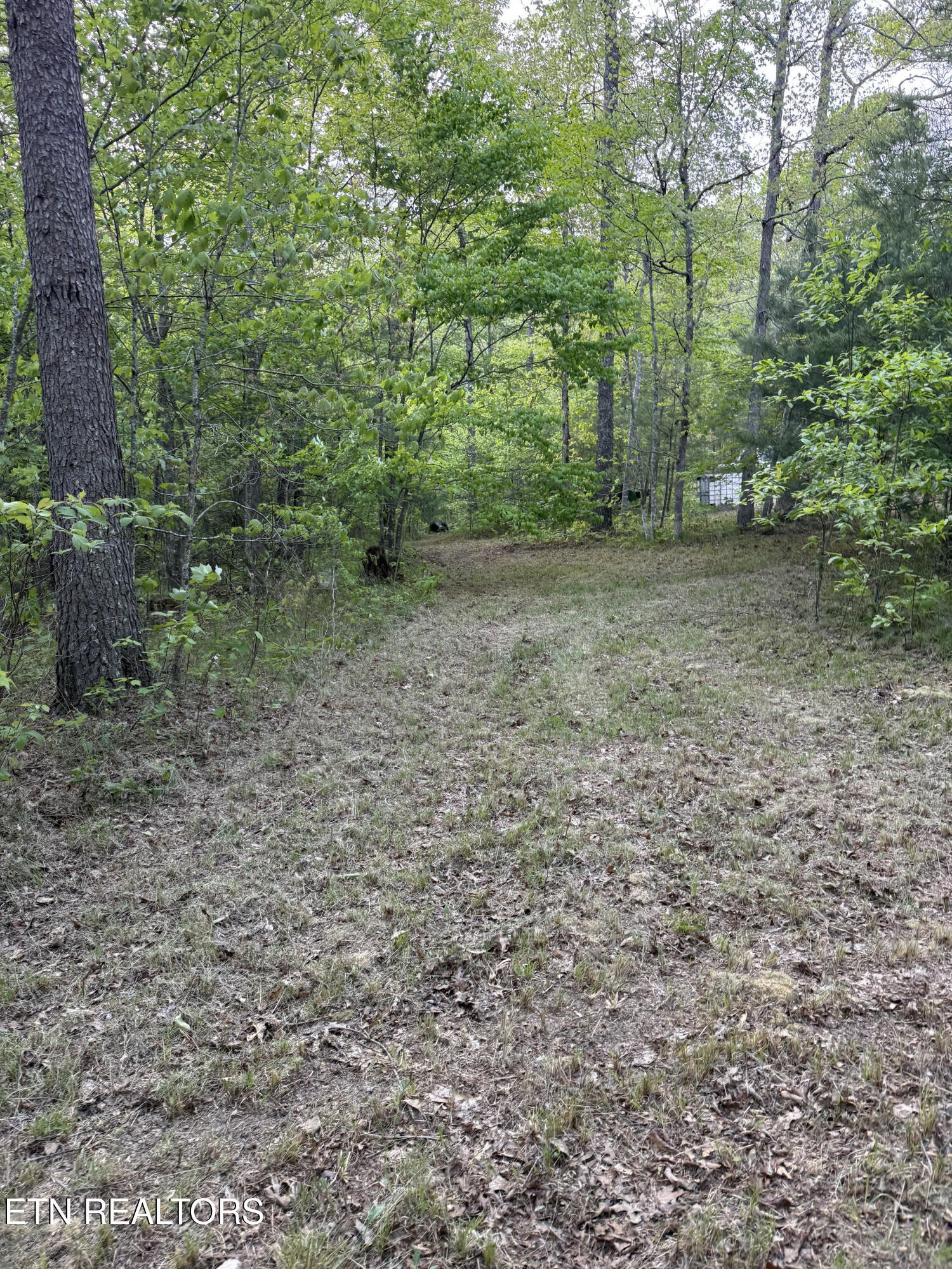 0 Genesis Road Crossville, TN 38555 - Photo 14 of 15
