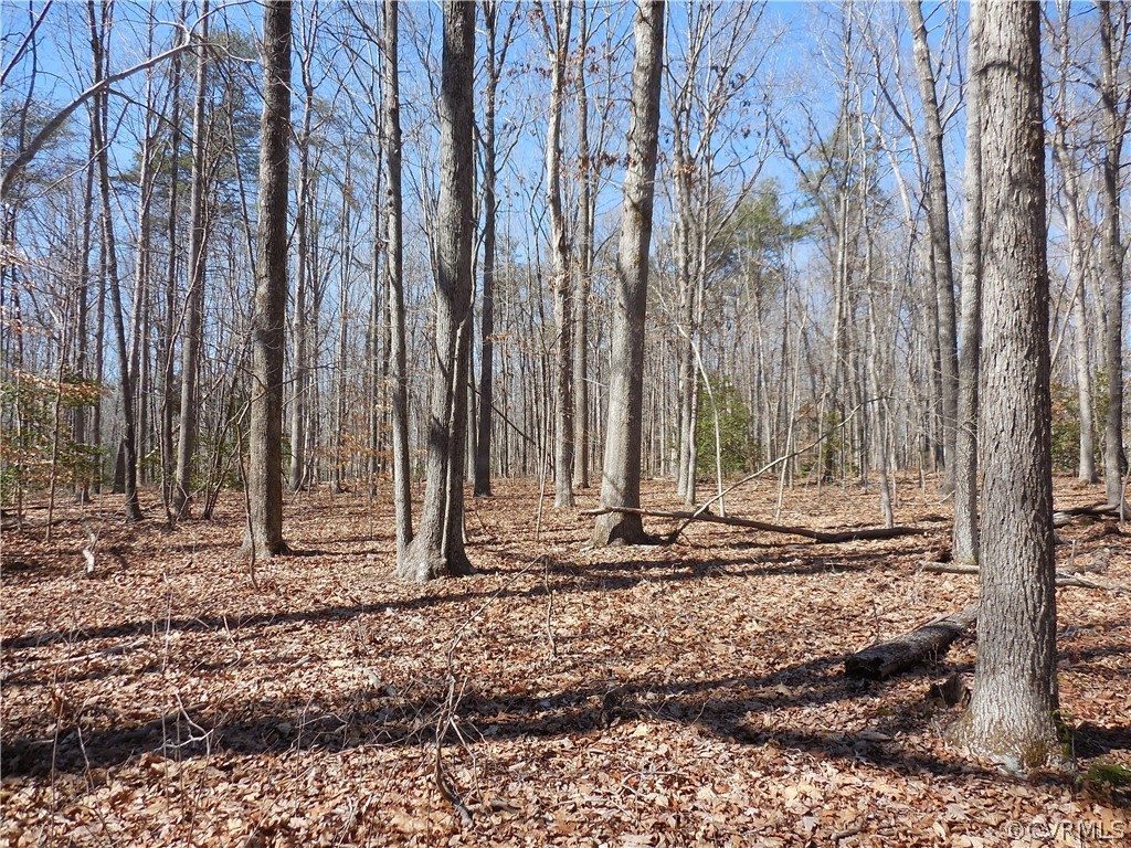 0 Waddy Drive Louisa, VA 23093 - Photo 2 of 9 a view of a backyard of the house