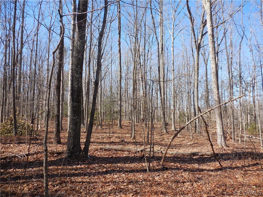 0 Waddy Drive Louisa, VA 23093 - Photo 3 of 9 a view of wooden fence