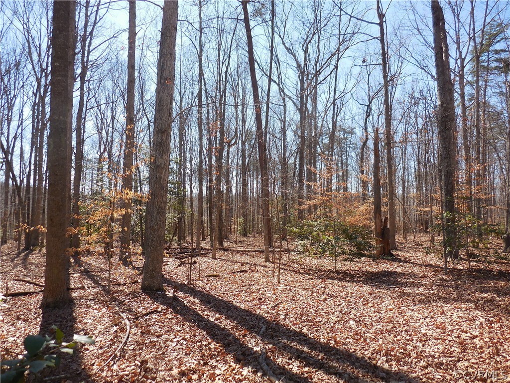 0 Waddy Drive Louisa, VA 23093 - Photo 5 of 9 a view of house with trees