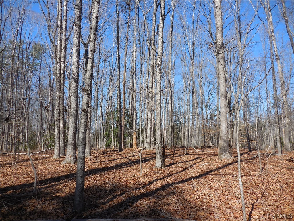 0 Waddy Drive Louisa, VA 23093 - Photo 6 of 9 a view of a backyard