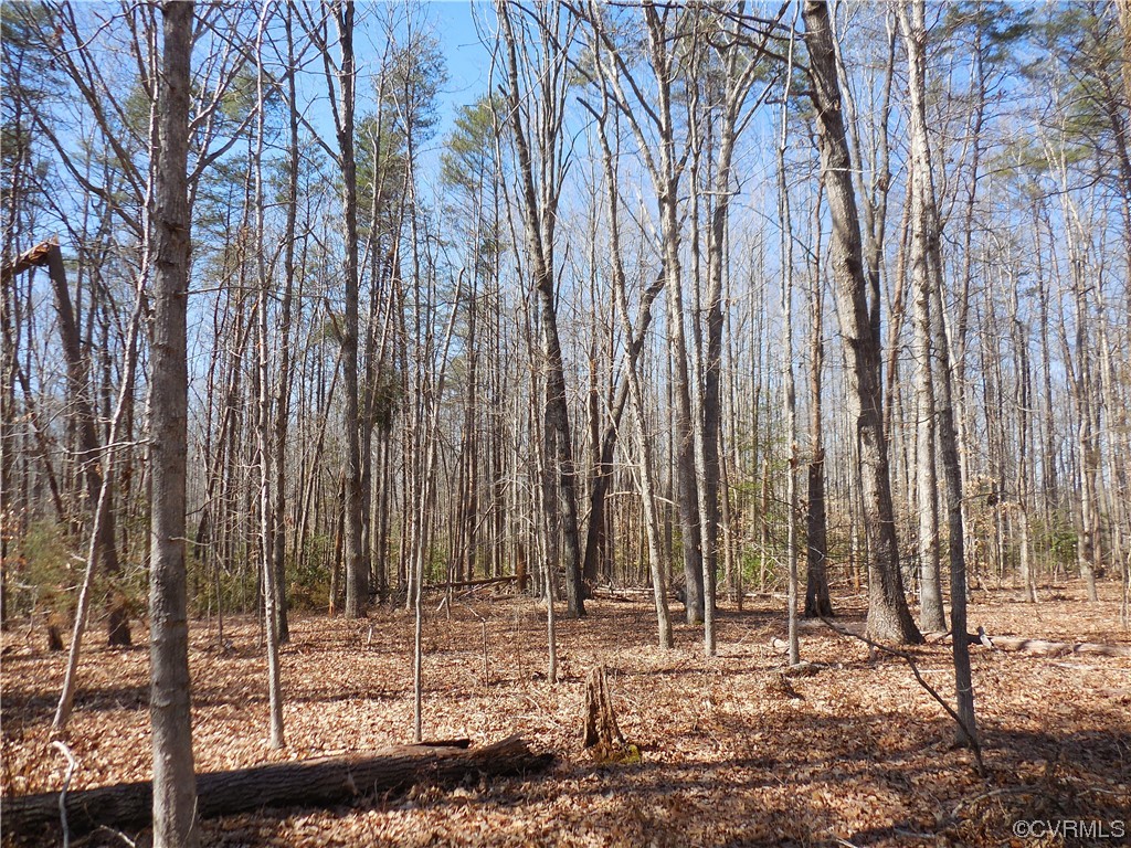 0 Waddy Drive Louisa, VA 23093 - Photo 7 of 9 a view of a backyard with trees