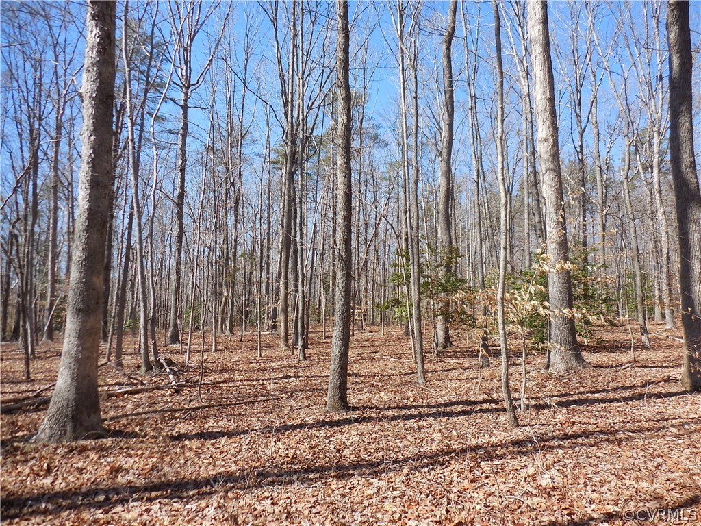 0 Waddy Drive Louisa, VA 23093 - Photo 9 of 9 a view of a entrance