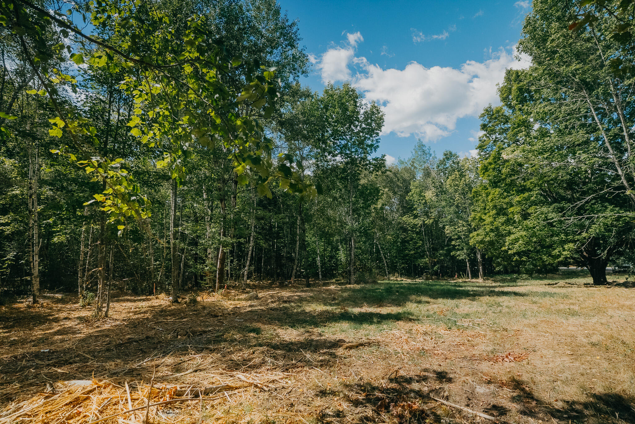 582 Western Avenue Dixmont, ME 04932 - Photo 2 of 8 DSC08170