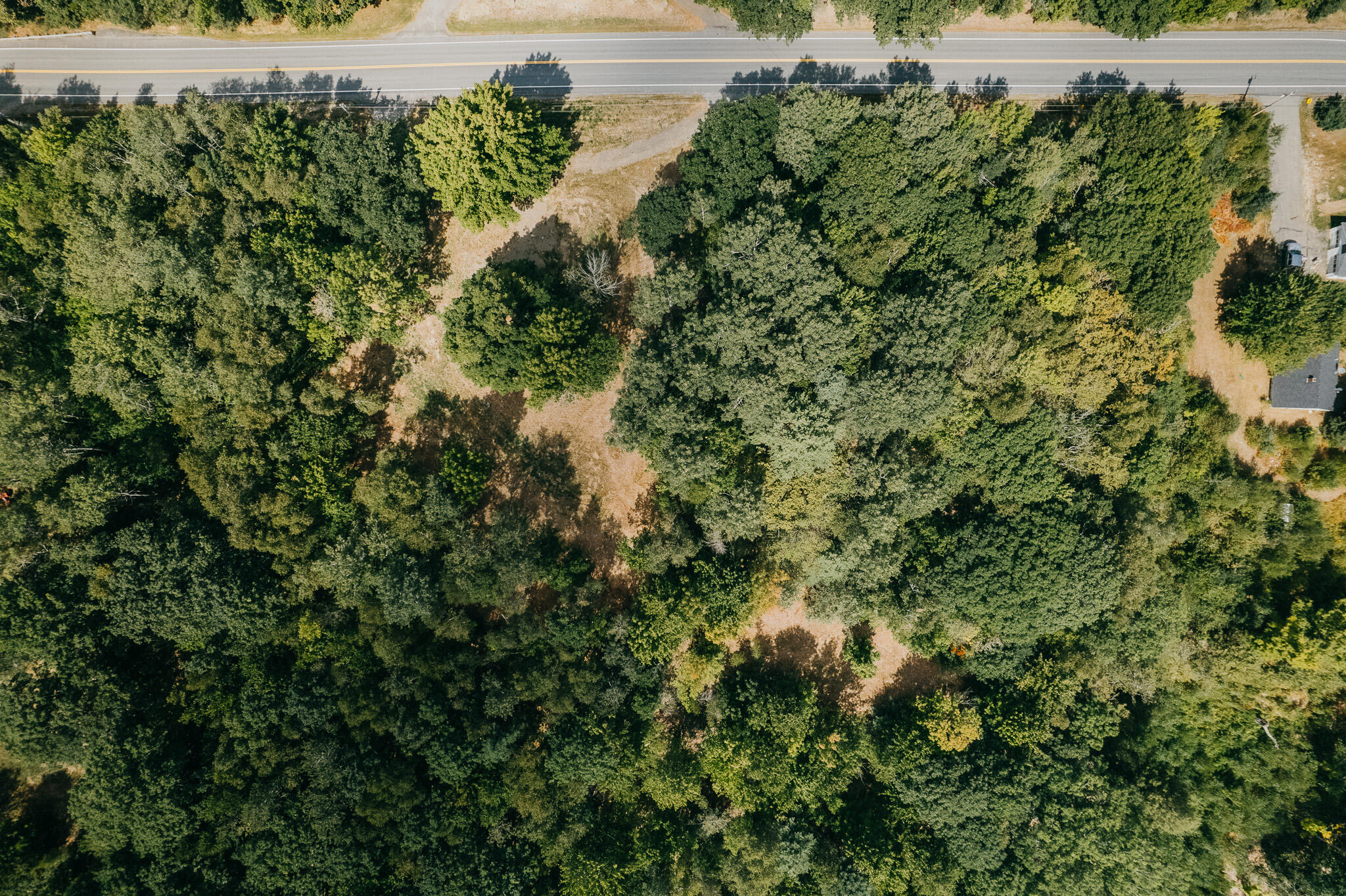 582 Western Avenue Dixmont, ME 04932 - Photo 8 of 8 DJI_0612