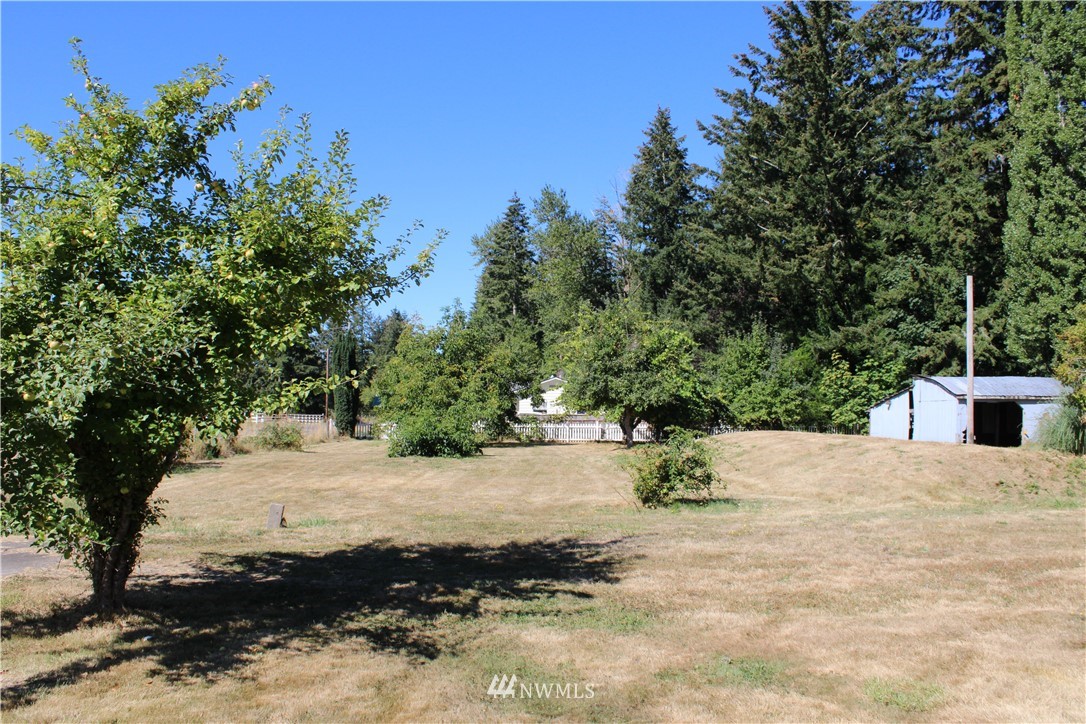 103 Eadon Road Toledo, WA 98591 - Photo 6 of 26 a view of a yard with a tree