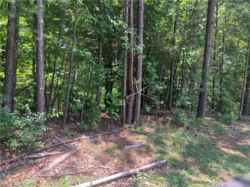 0 Promontory Ridge, Unit LOT 45 STILLWATER Seneca, SC 29672 - Photo 8 of 26
