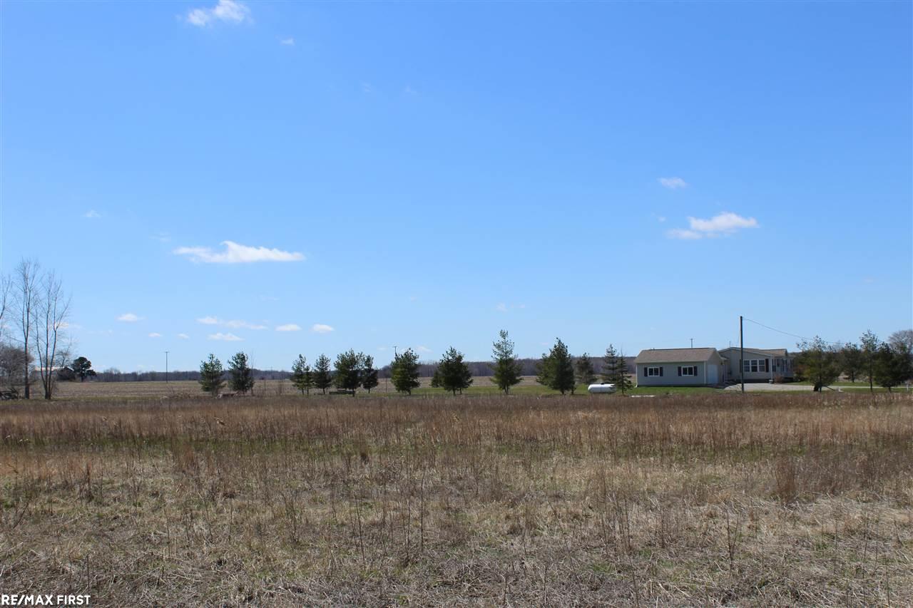 0 Connell Road Yale, MI 48097 - Photo 2 of 2 50213335-9CDCC47A-4451-4506-AA5D-4F0B390593A2.JPG