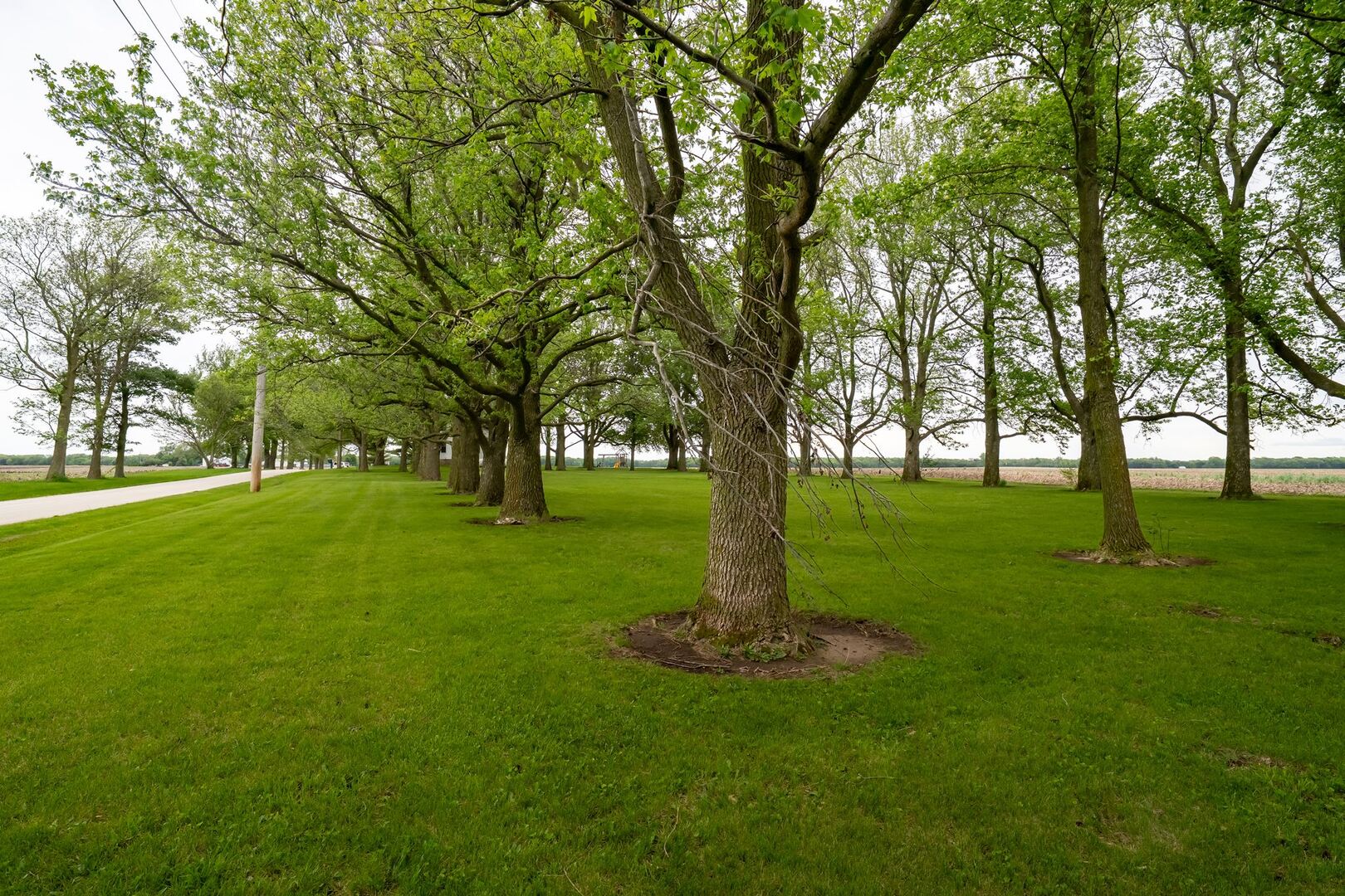 12610 North 1900 E Road Fairbury, IL 61739 - Photo 36 of 36
