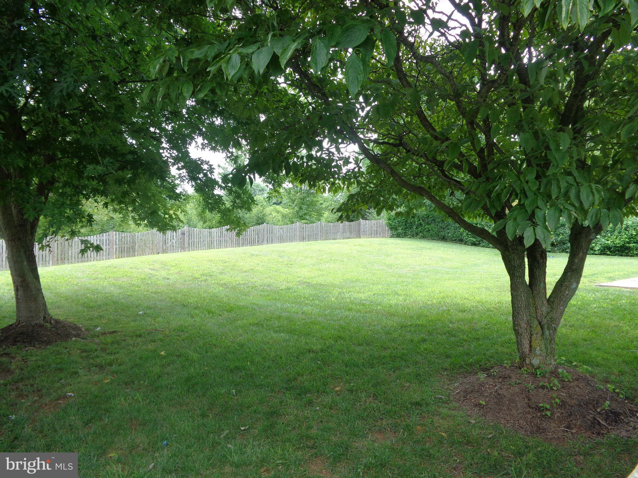 14324 Twig Road Silver Spring, MD 20905 - Photo 11 of 25 View