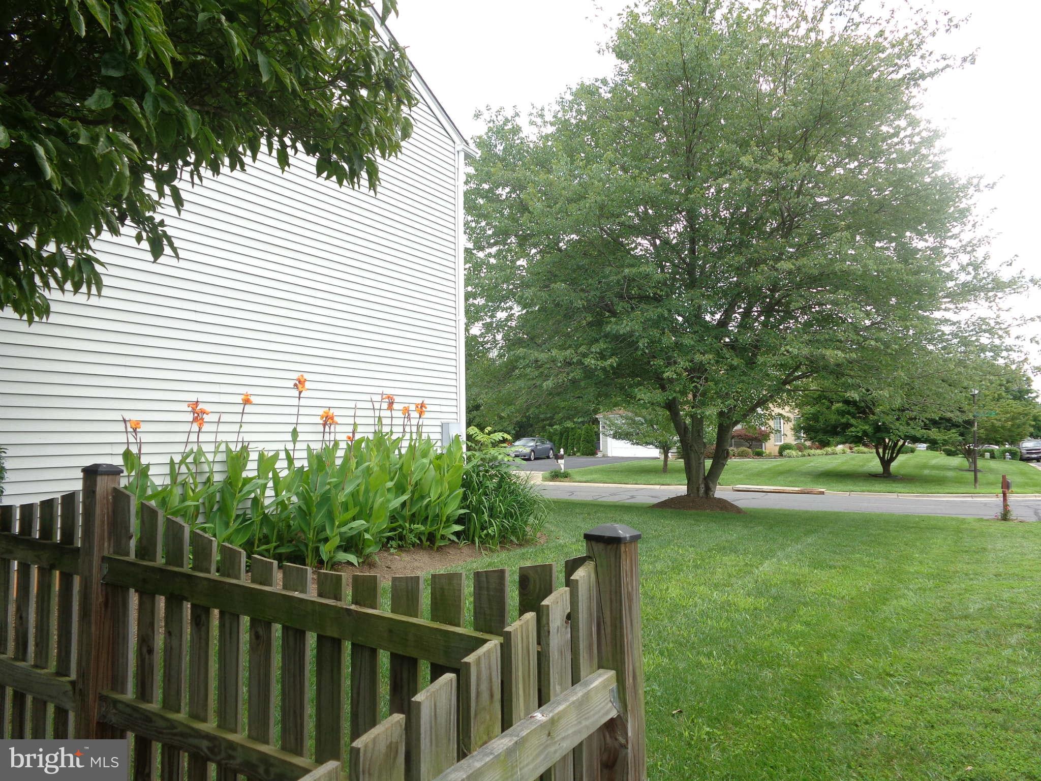14324 Twig Road Silver Spring, MD 20905 - Photo 7 of 25 Exterior (General)