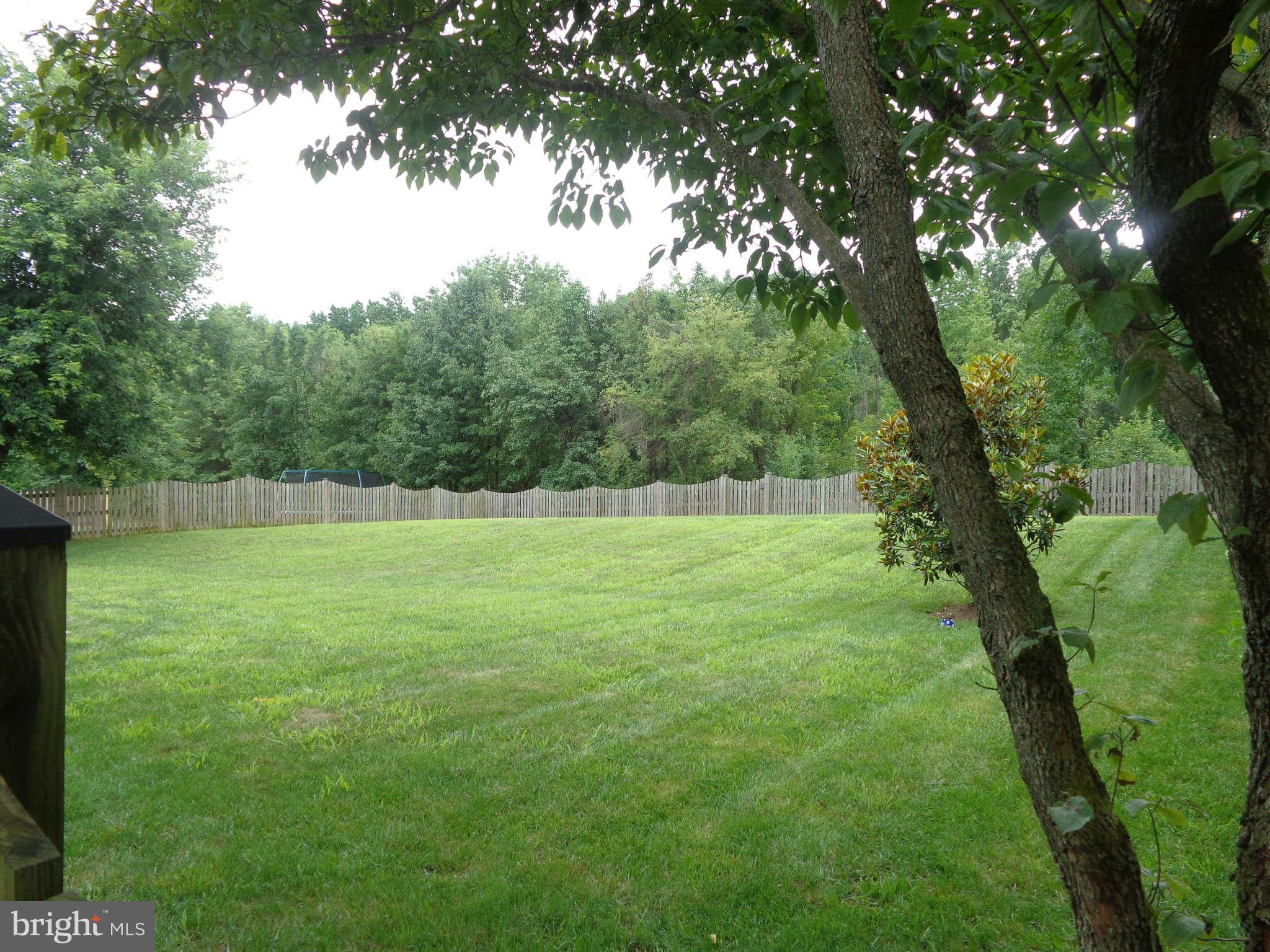 14324 Twig Road Silver Spring, MD 20905 - Photo 9 of 25 Serene