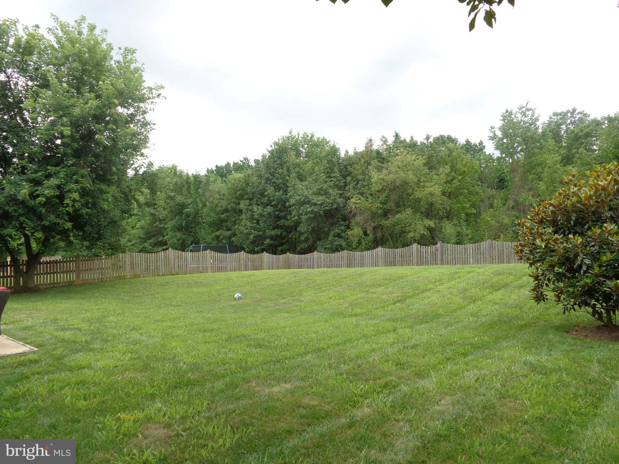 14324 Twig Road Silver Spring, MD 20905 - Photo 10 of 25 Tranquil