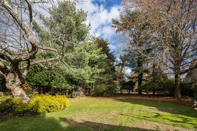 a view of a lake with a yard