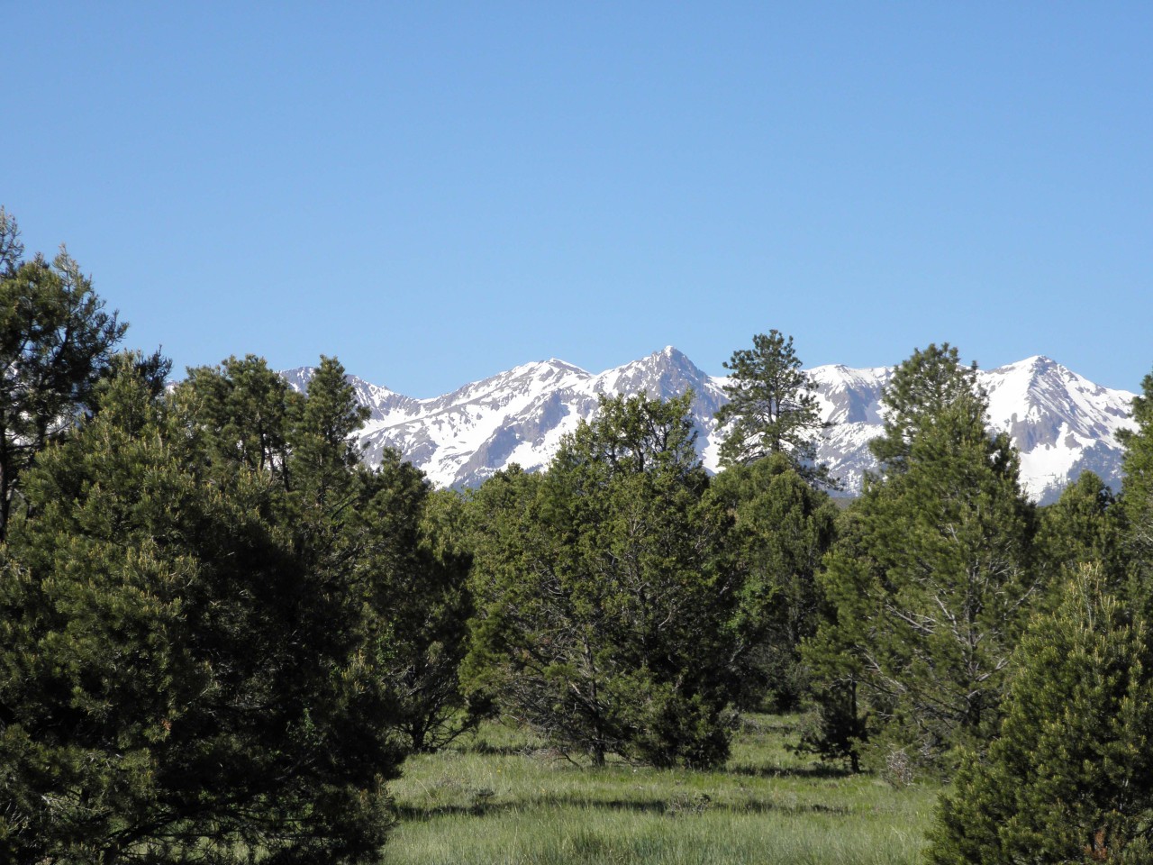 35 Forest Lane Ridgway, CO 81432 - Photo 18 of 18 view