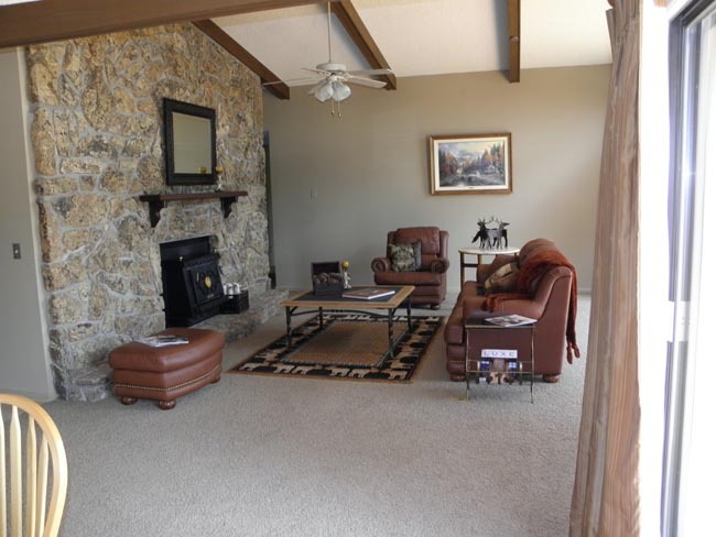 35 Forest Lane Ridgway, CO 81432 - Photo 3 of 18 2