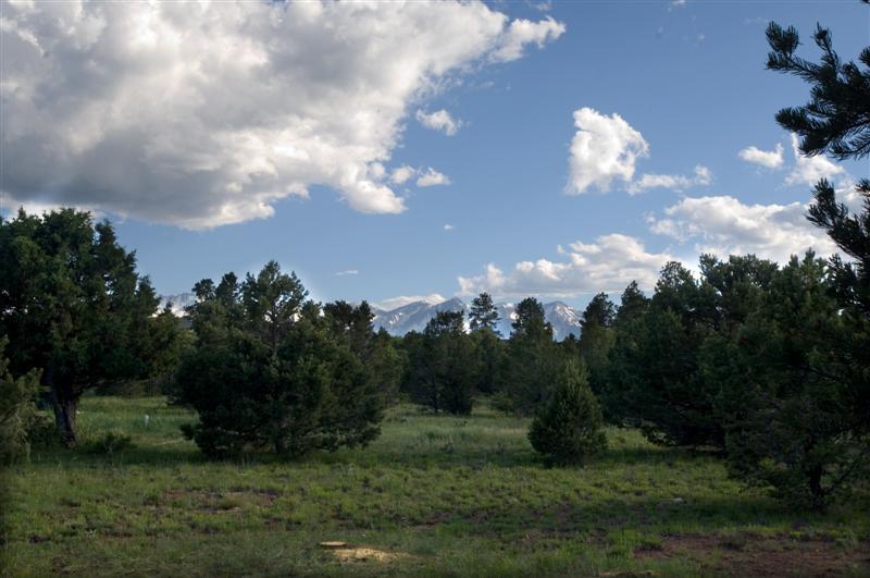35 Forest Lane Ridgway, CO 81432 - Photo 9 of 18 3
