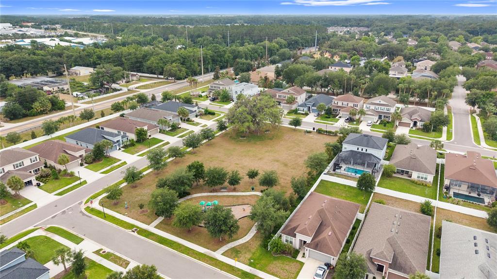 6932 Gray Catbird Loop Wesley Chapel, FL 33545 - Photo 65 of 66