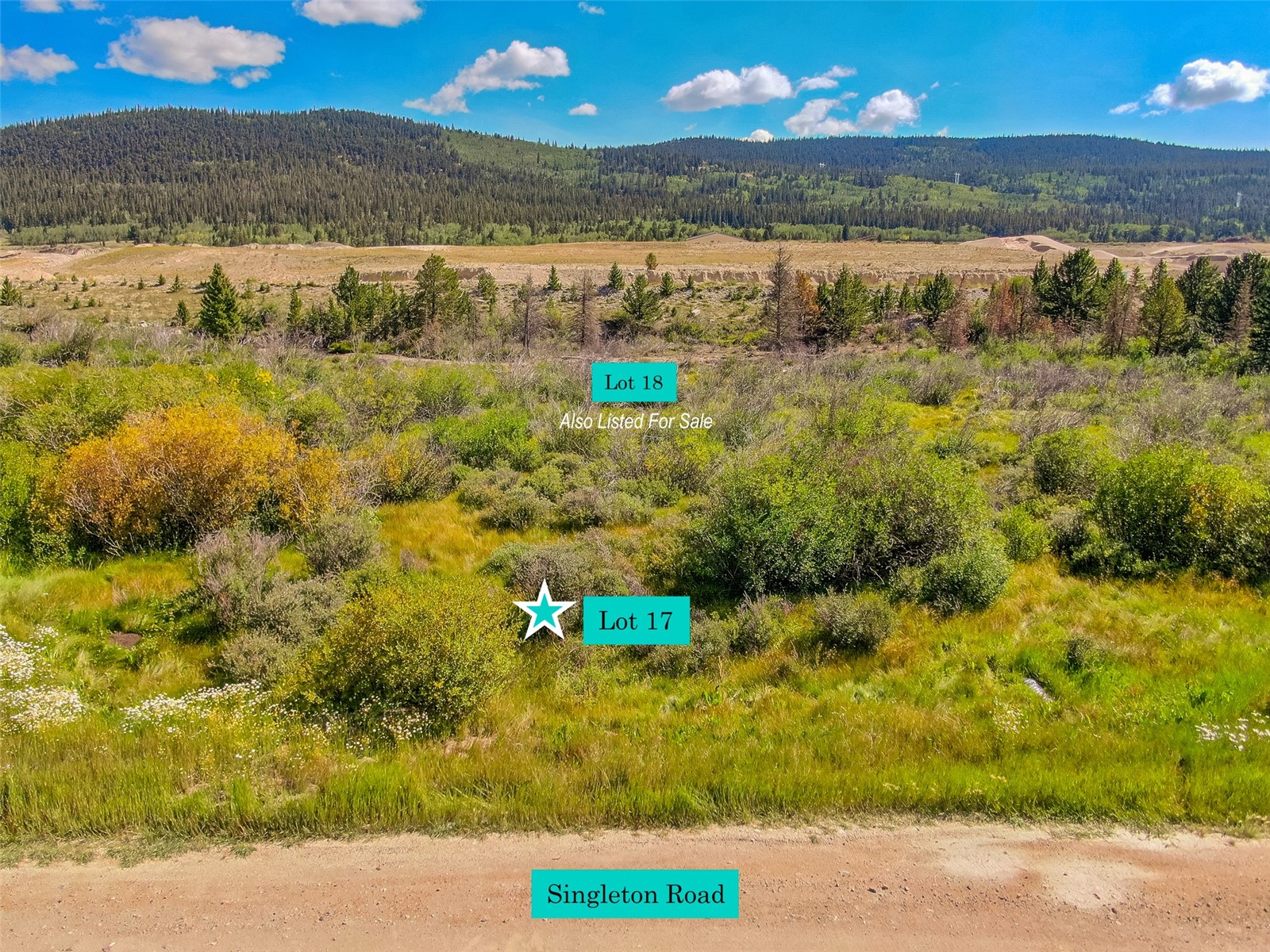 Lot 17 Singleton Road Alma, CO 80420 - Photo 6 of 20 Gallery Image 6