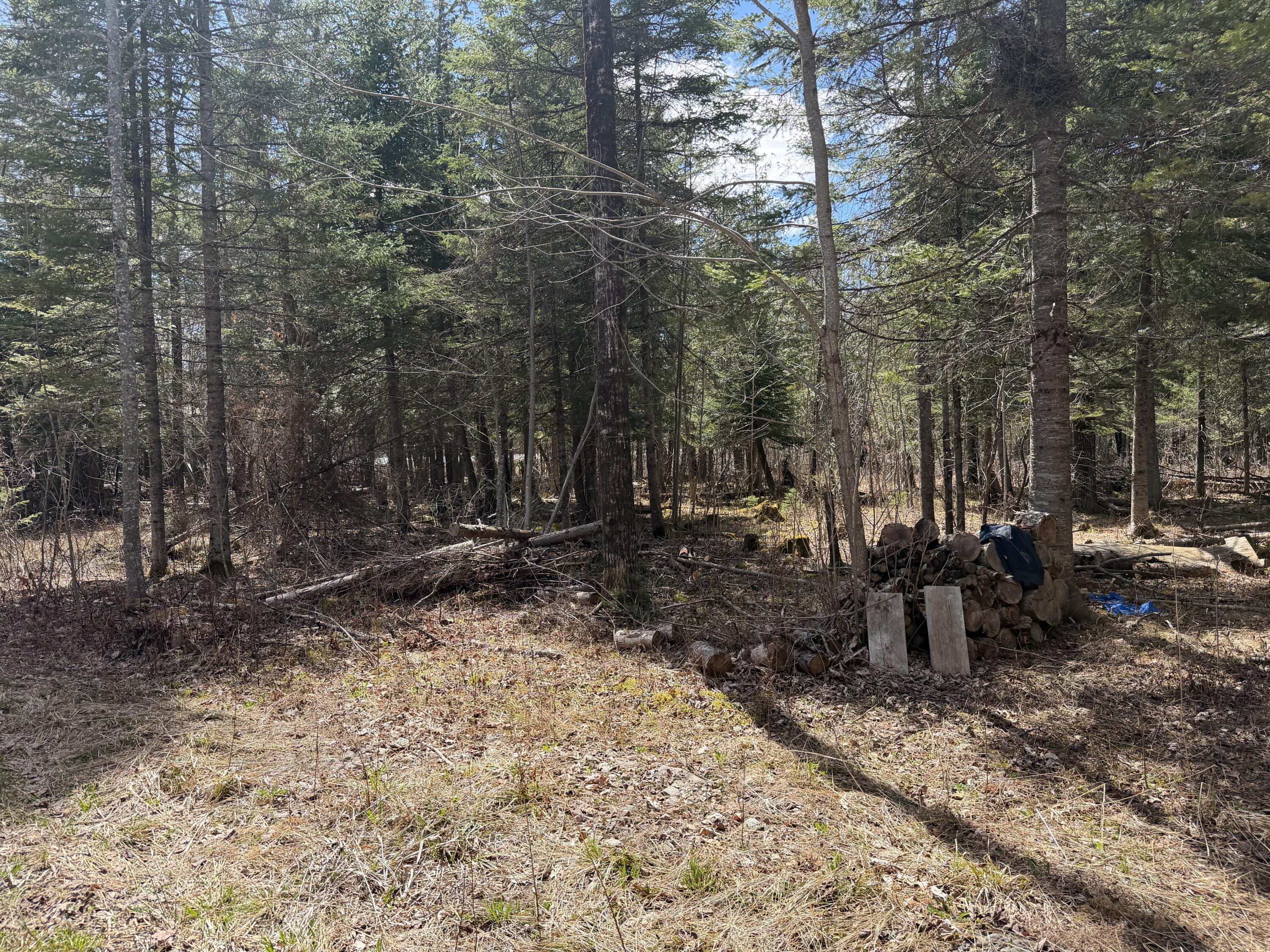 193 West Road Bradford, ME 04410 - Photo 3 of 10 IMG_3277