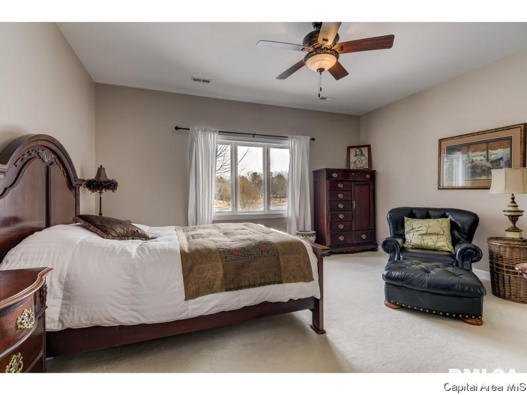 152 Maple Grove Lane Springfield, IL 62712 - Photo 20 of 31