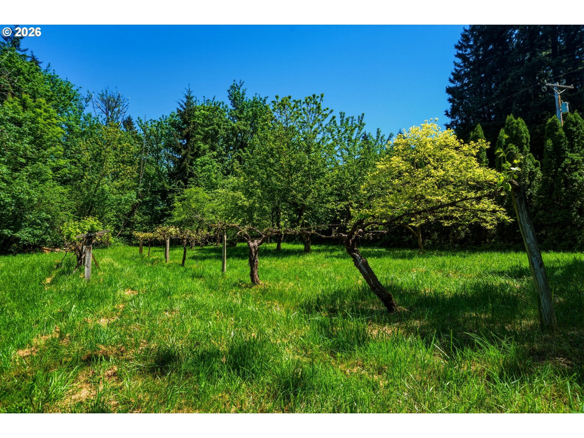 25421 Southeast Sunshine Valley Road Damascus, OR 97089 - Photo 45 of 46