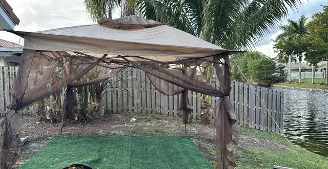 a view of a backyard with plants