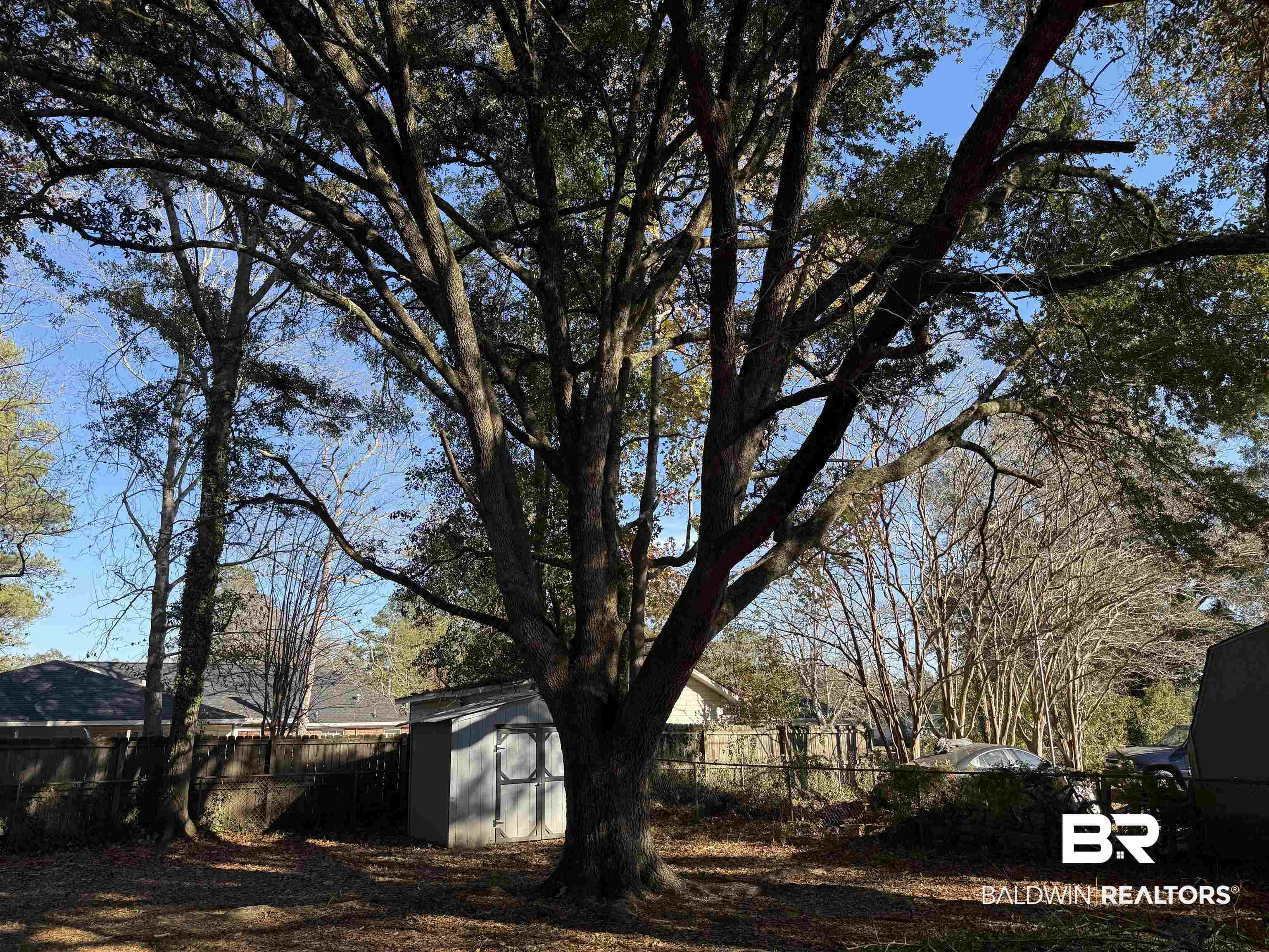114 Spruce Avenue Brewton, AL 36426 - Photo 12 of 13 Fenced backyard featuring a storage shed