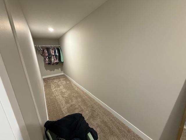 44331 Highway 44 Mabel, MN 55954 - Photo 12 of 36