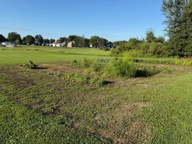 44331 Highway 44 Mabel, MN 55954 - Photo 20 of 36